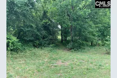 436 Peach Festival Road, Gilbert, SC 29054 - Photo 3