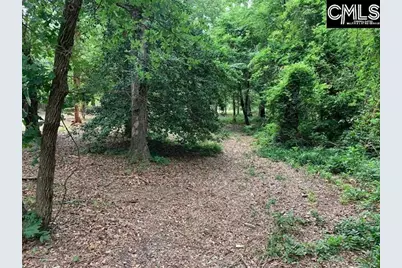 436 Peach Festival Road, Gilbert, SC 29054 - Photo 5