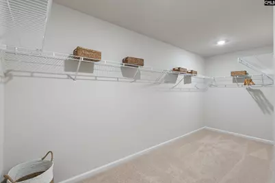 163 Calm Citadel Drive, Pelion, SC 29123 - Photo 19