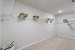 163 Calm Citadel Dr, Pelion, SC 29123 - Photo 19