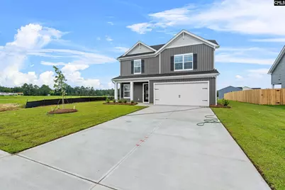 163 Calm Citadel Drive, Pelion, SC 29123 - Photo 3