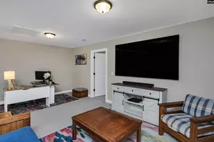 740 Ruskin Dr, Chapin, SC 29036 - Photo 33