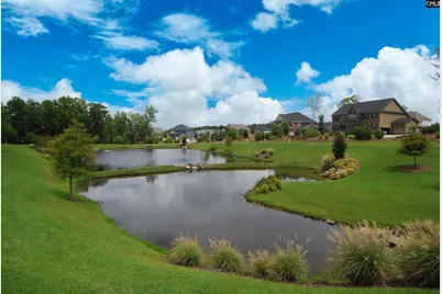 740 Ruskin Drive, Chapin, SC 29036 - Photo 53