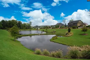 740 Ruskin Dr, Chapin, SC 29036 - Photo 53