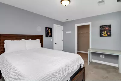 740 Ruskin Drive, Chapin, SC 29036 - Photo 39