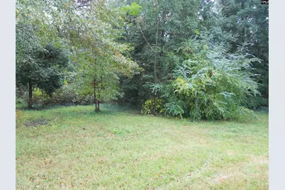 4220 Mineral Springs Road, Lexington, SC 29073 - Photo 25