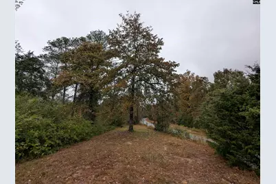 3669 Old Douglas Road, Blackstock, SC 29014 - Photo 25