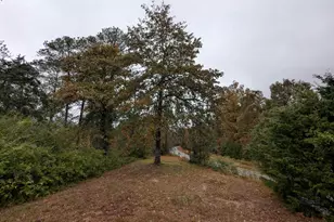 3669 Old Douglas Rd, Blackstock, SC 29014 - Photo 25