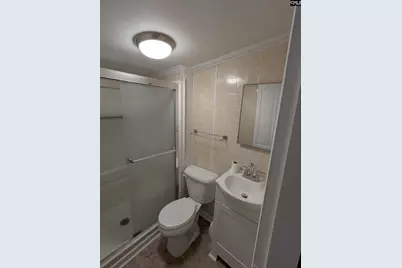 3669 Old Douglas Road, Blackstock, SC 29014 - Photo 21