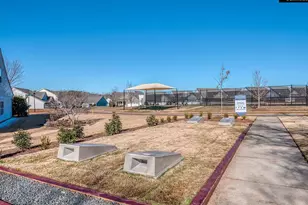 23115 Goose Down Ln, Lancaster, SC 29720 - Photo 39