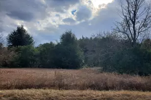 Lot 5 Water Tank Rd, Pelion, SC 29123 - Photo 1