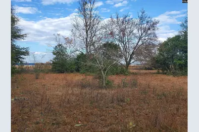 Lot 5 Water Tank Road, Pelion, SC 29123 - Photo 5