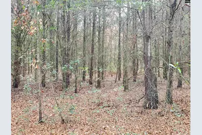 Lot 5 Water Tank Road, Pelion, SC 29123 - Photo 3