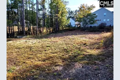 1013 Coogler Crossing Drive, Blythewood, SC 29016 - Photo 7