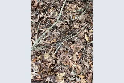 Bhl 1 Boise Cascade Road Bhl 1 #BHL 1, Bethune, SC 29009 - Photo 19