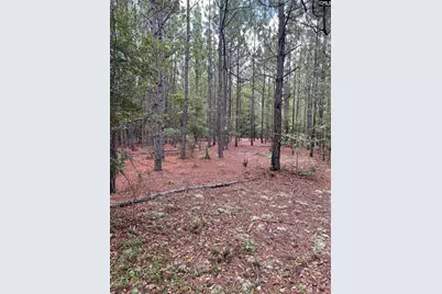 Bhl 1 Boise Cascade Road Bhl 1 #BHL 1, Bethune, SC 29009 - Photo 3