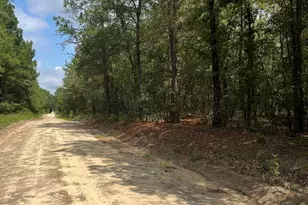 Bhl 1 Boise Cascade Road Bhl 1, Bethune, SC 29009 - Photo 1