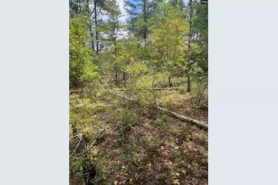 Bhl 1 Boise Cascade Road Bhl 1 #BHL 1, Bethune, SC 29009 - Photo 11