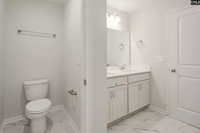 251 Boseman Road Road, Irmo, SC 29063 - Photo 31