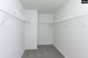 251 Boseman Road Rd, Irmo, SC 29063 - Photo 39