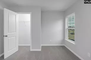 251 Boseman Road Rd, Irmo, SC 29063 - Photo 35