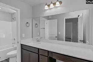 251 Boseman Road Rd, Irmo, SC 29063 - Photo 37