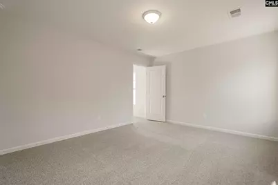 251 Boseman Road Road, Irmo, SC 29063 - Photo 27