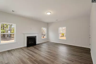 251 Boseman Road Road, Irmo, SC 29063 - Photo 13