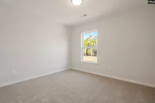 251 Boseman Road Rd, Irmo, SC 29063 - Photo 37