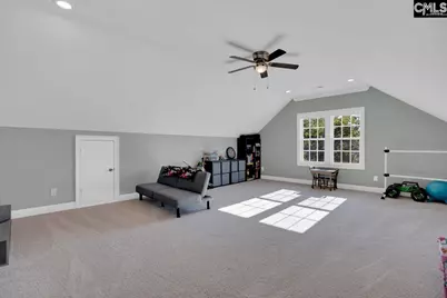 201 Edgewood Drive, Chapin, SC 29036 - Photo 19