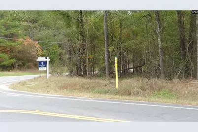 471 Turkey Farm Road, Blythewood, SC 29016 - Photo 3