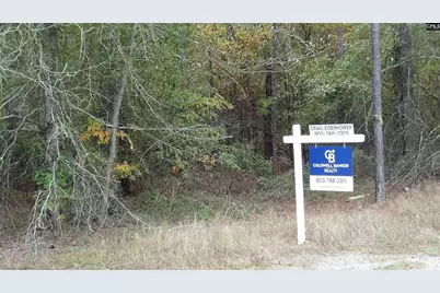 471 Turkey Farm Road, Blythewood, SC 29016 - Photo 1