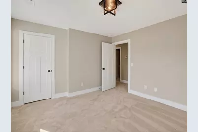 342 Murray Falls Lane, Chapin, SC 29036 - Photo 45