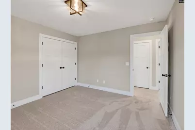 342 Murray Falls Lane, Chapin, SC 29036 - Photo 43