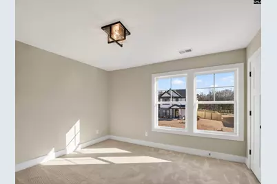 342 Murray Falls Lane, Chapin, SC 29036 - Photo 53