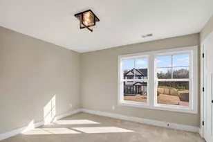 342 Murray Fls Ln, Chapin, SC 29036 - Photo 53