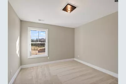 342 Murray Falls Lane, Chapin, SC 29036 - Photo 55