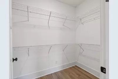 342 Murray Falls Lane, Chapin, SC 29036 - Photo 29