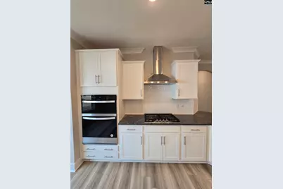 319 Murray Falls Lane, Chapin, SC 29036 - Photo 23