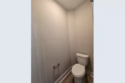 319 Murray Falls Lane, Chapin, SC 29036 - Photo 41