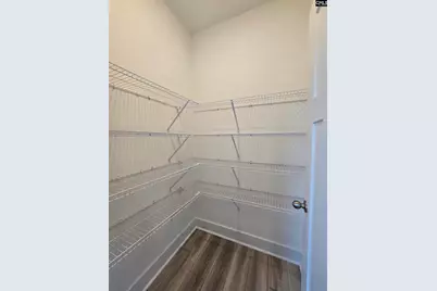 319 Murray Falls Lane, Chapin, SC 29036 - Photo 27