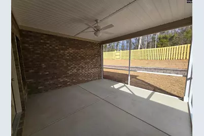 319 Murray Falls Lane, Chapin, SC 29036 - Photo 3