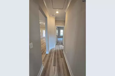 319 Murray Falls Lane, Chapin, SC 29036 - Photo 43