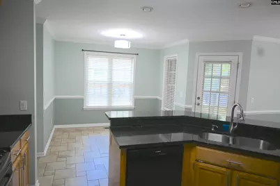 230 Elm Creek Court, Chapin, SC 29036 - Photo 9