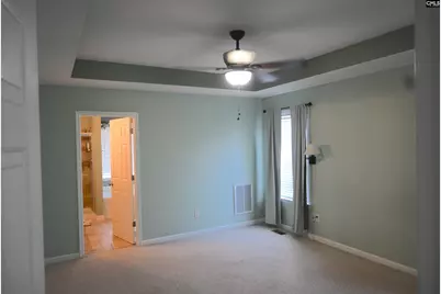 230 Elm Creek Court, Chapin, SC 29036 - Photo 13