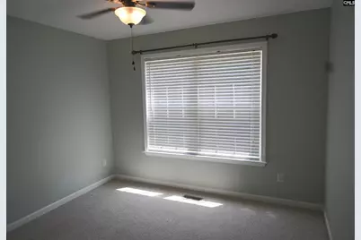 230 Elm Creek Court, Chapin, SC 29036 - Photo 11