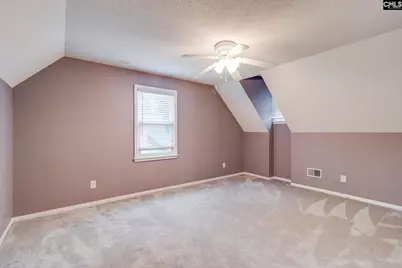 344 Cockspur Road, Irmo, SC 29063 - Photo 23