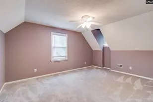 344 Cockspur Rd, Irmo, SC 29063 - Photo 23