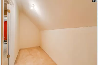 344 Cockspur Road, Irmo, SC 29063 - Photo 25