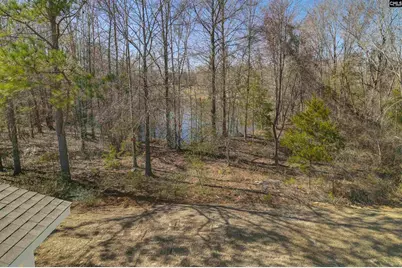 247 Boseman Road, Irmo, SC 29063 - Photo 47